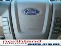 2010 Sterling Grey Metallic Ford F150 XLT SuperCrew 4x4  photo #19