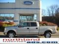 2010 Pueblo Gold Metallic Ford F150 XLT SuperCrew 4x4  photo #1