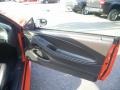 Dark Charcoal 2004 Ford Mustang Mach 1 Coupe Door Panel