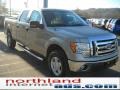 2010 Pueblo Gold Metallic Ford F150 XLT SuperCrew 4x4  photo #4