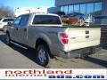 2010 Pueblo Gold Metallic Ford F150 XLT SuperCrew 4x4  photo #8