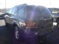 Graphite Metallic - TrailBlazer LS 4x4 Photo No. 4