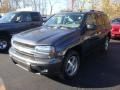 Graphite Metallic - TrailBlazer LS 4x4 Photo No. 5
