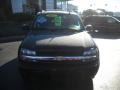 Black - TrailBlazer LS 4x4 Photo No. 10