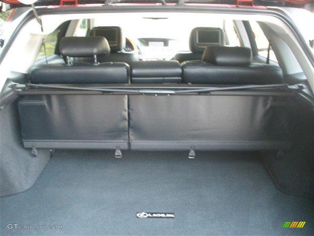 2010 Lexus RX 350 Trunk Photo #39090710