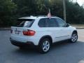 Alpine White - X5 3.0si Photo No. 3