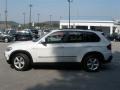 Alpine White - X5 3.0si Photo No. 6