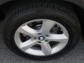 Alpine White - X5 3.0si Photo No. 29
