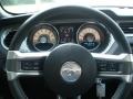 2010 Black Ford Mustang GT Premium Coupe  photo #13