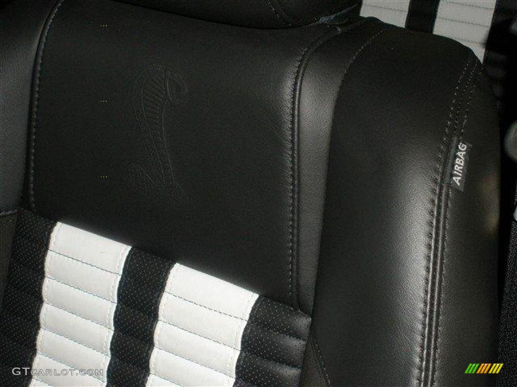 Charcoal Black/White Interior 2010 Ford Mustang Shelby GT500 Coupe Photo #39094770