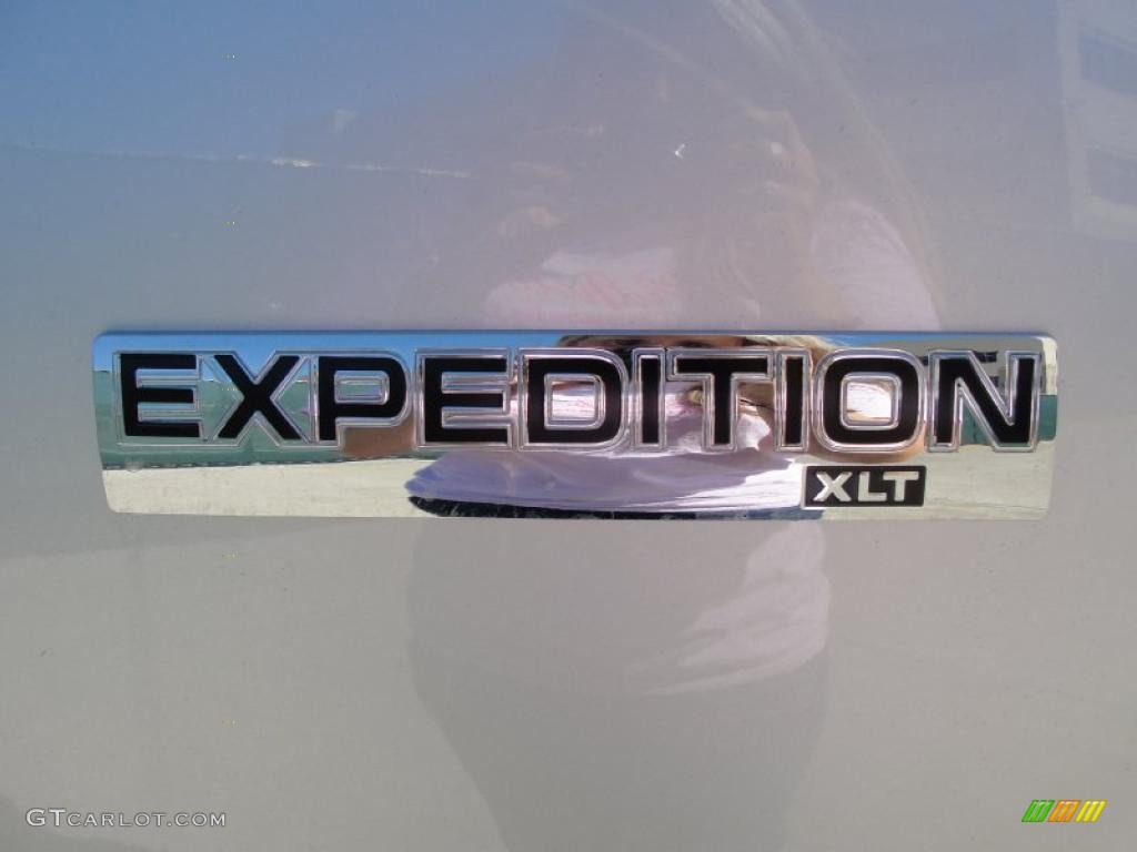 2010 Expedition XLT - Ingot Silver Metallic / Stone photo #15
