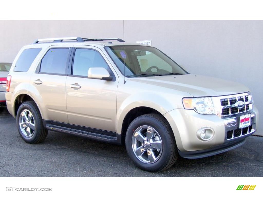 2011 Escape Limited V6 4WD - Gold Leaf Metallic / Charcoal Black photo #2