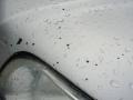 Sebring Silver Metallic - CR-V LX Photo No. 27