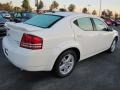 Stone White - Avenger R/T Photo No. 3