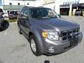 Tungsten Grey Metallic - Escape XLT Photo No. 1