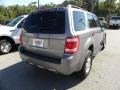Tungsten Grey Metallic - Escape XLT Photo No. 15