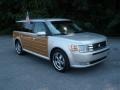 Brilliant Silver Metallic 2009 Ford Flex SEL Exterior