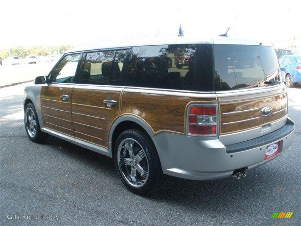 Brilliant Silver Metallic 2009 Ford Flex SEL Exterior Photo #39117017