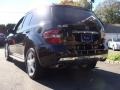 Black - ML 350 4Matic Photo No. 7