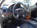 Black Interior Photo for 2008 Mercedes-Benz GL #39119456