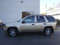 Sandstone Metallic - TrailBlazer LS 4x4 Photo No. 1