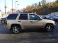 Sandstone Metallic - TrailBlazer LS 4x4 Photo No. 5