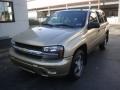 Sandstone Metallic - TrailBlazer LS 4x4 Photo No. 11