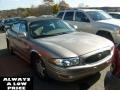 Light Bronzemist Metallic - LeSabre Custom Photo No. 1