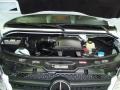 2010 Mercedes-Benz Sprinter 3.0 Liter Turbo-Diesel DOHC 24-Valve V6 Engine Photo