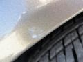 Dark Bronzemist Metallic - Century Custom Photo No. 26
