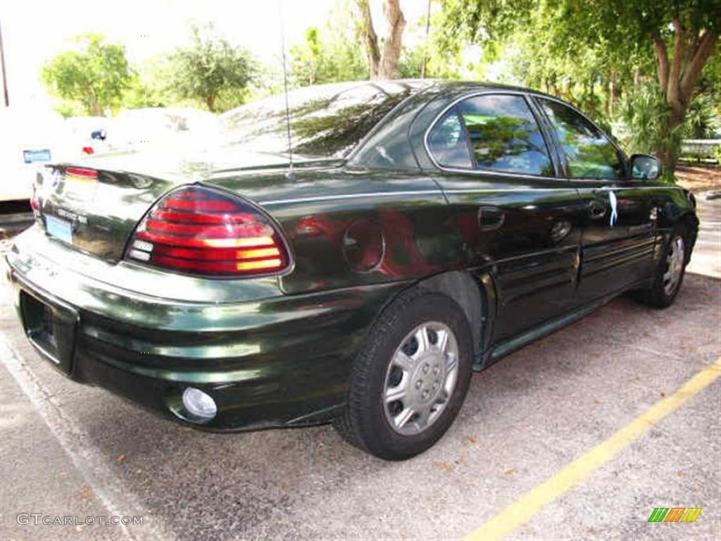 2000 Grand Am SE Sedan - Spruce Green Metallic / Dark Pewter photo #2