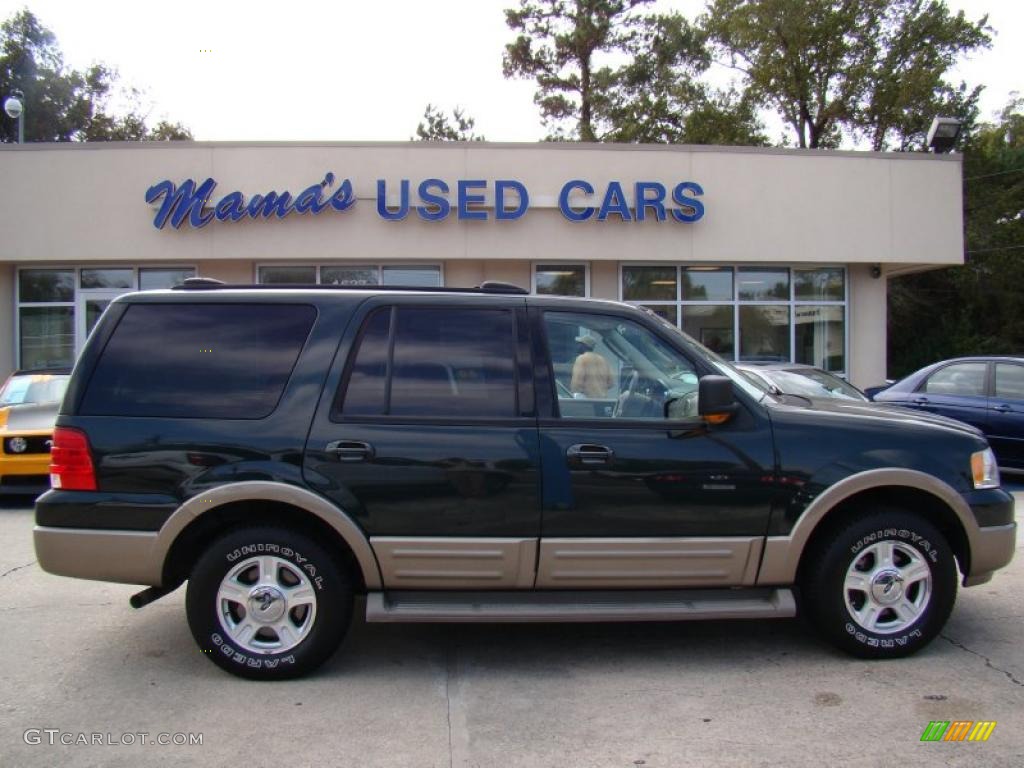 Aspen Green Metallic Ford Expedition