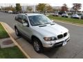 Titanium Silver Metallic - X5 3.0i Photo No. 8