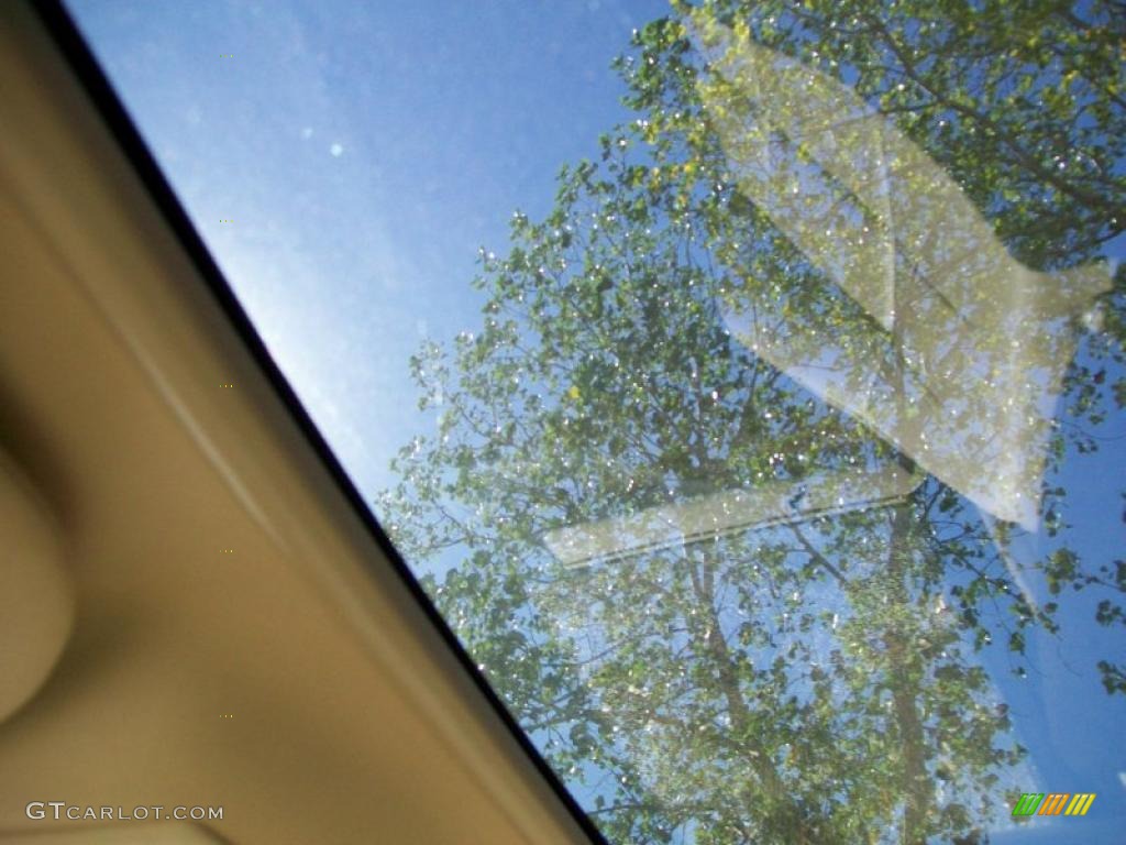 2010 Lincoln Navigator 4x4 Sunroof Photo #39171614