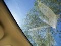 Camel Sunroof Photo for 2010 Lincoln Navigator #39171614