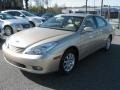 Mystic Gold Metallic - ES 300 Photo No. 2