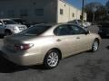 Mystic Gold Metallic - ES 300 Photo No. 6