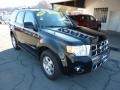 2008 Black Ford Escape Limited 4WD  photo #3