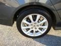 Carbon Gray Pearl - TSX Sedan Photo No. 30