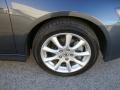 Carbon Gray Pearl - TSX Sedan Photo No. 31