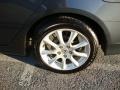 Carbon Gray Pearl - TSX Sedan Photo No. 38