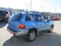 2004 Arctic Blue Hyundai Santa Fe GLS 4WD  photo #6
