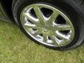Silver Steel Metallic - 300 C HEMI Photo No. 17