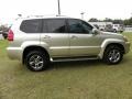 Savannah Beige Metallic - GX 470 Photo No. 13