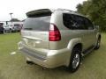 Savannah Beige Metallic - GX 470 Photo No. 14