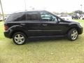 Black - ML 350 4Matic Photo No. 13