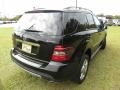 Black - ML 350 4Matic Photo No. 14