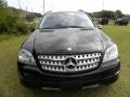 Black - ML 350 4Matic Photo No. 19