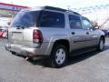 2002 Light Pewter Metallic Chevrolet TrailBlazer EXT LT 4x4  photo #5