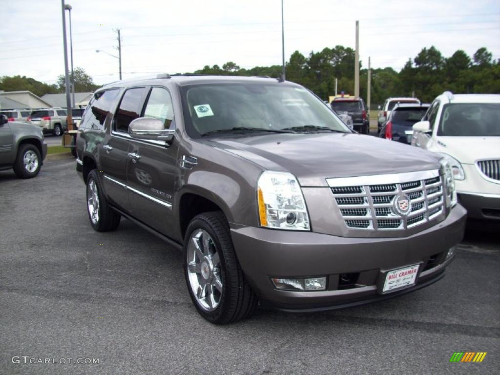Mocha Steel Metallic 2011 Cadillac Escalade ESV Premium Exterior Photo #39190915